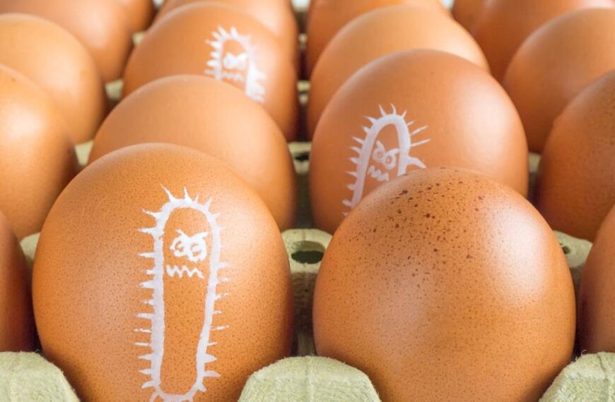 salmonella gdzie występuje i jak się jej pozbyć
